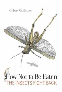The Importance of Insects in the Web of Life Image